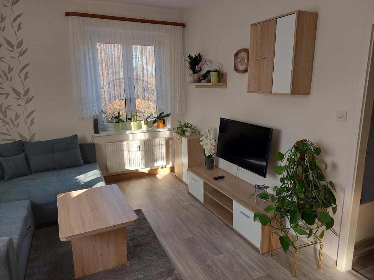 Ferienwohnung Lehmann Pirna Extérieur photo